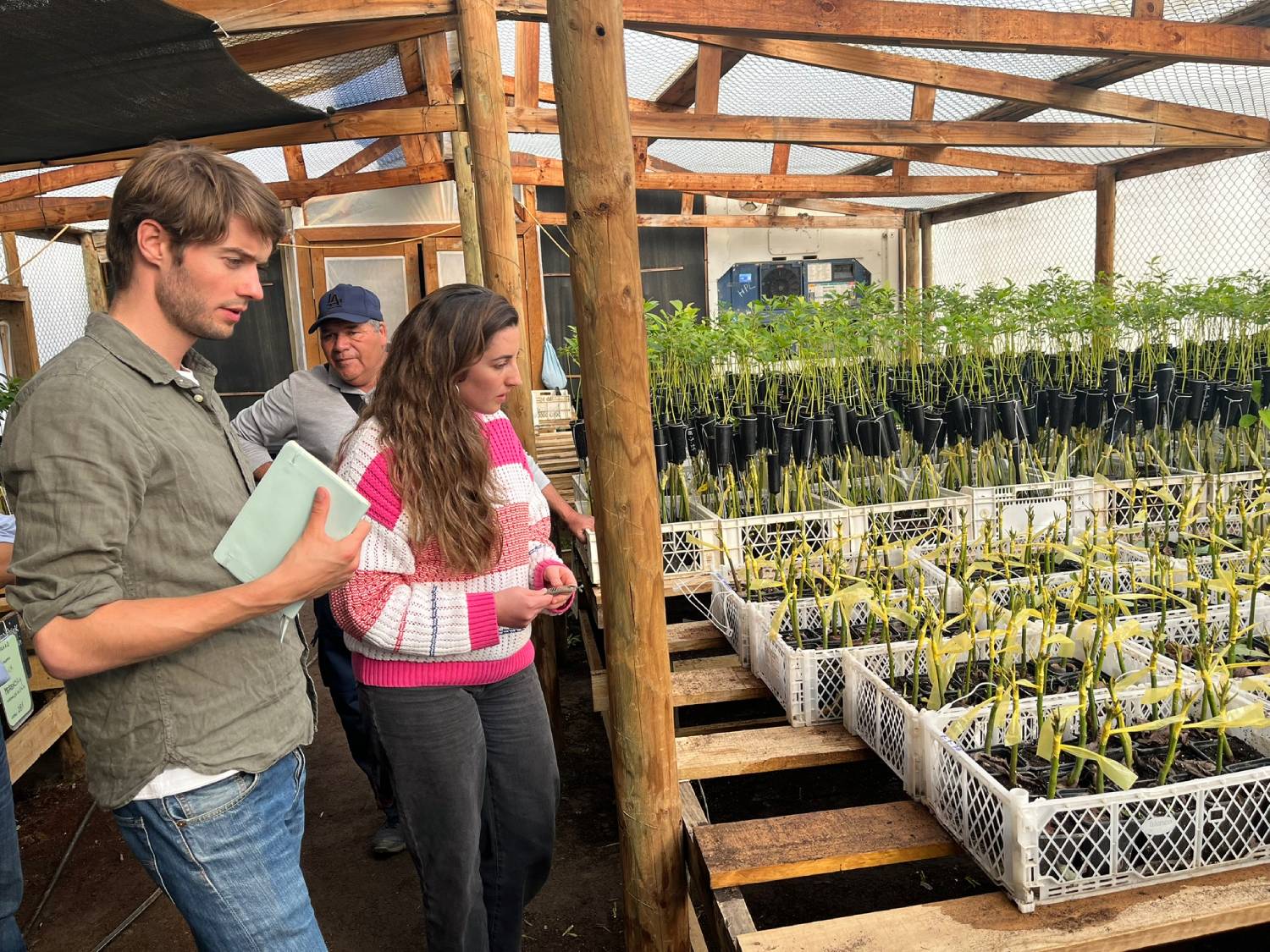 Aconcagua Network Farmers