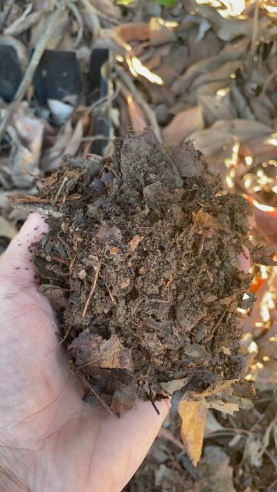 Healthy soil