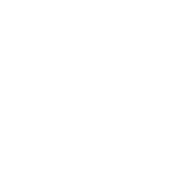 WAVE Partnership Logo