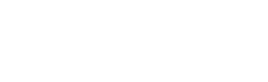 WAVE Partnership Logo